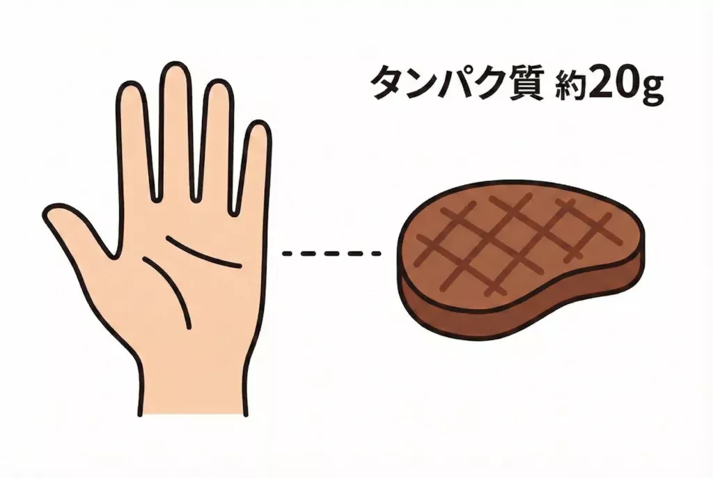 手のひらサイズ1枚分のタンパク質量の目安
