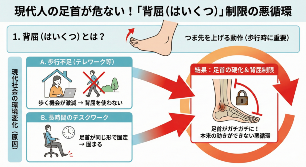 背屈の制限についてを解説した図解。歩行不足や長時間のテレワークによる背屈の制限を表している