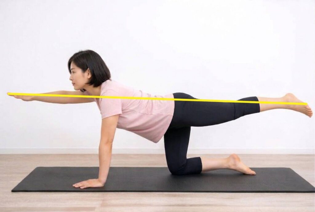女性が、黒いヨガマットの上で正しいフォームの「バードドッグポーズ」をしている。四つん這いから右腕と左脚を一直線に伸ばしており、彼女の体の一直線なアライメントを示すために、明るい黄色の直線が画像に重ね合わされている。