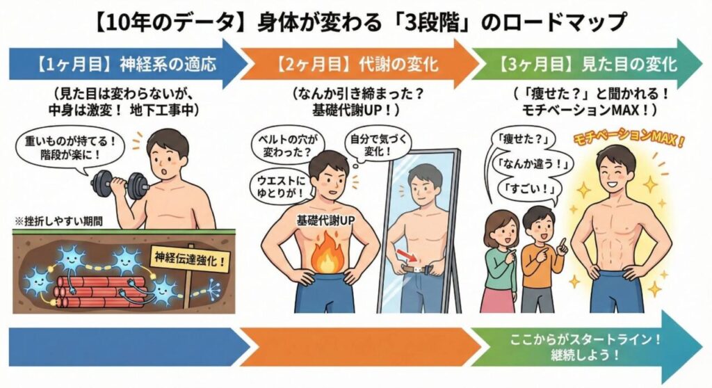 【10年のデータ】身体が変わる『3段階』のロードマップ」と題された図解。筋トレによる身体の変化を3つの期間で示している。1ヶ月目は「神経系の適応」で、見た目は変わらないが体内の神経伝達が強化される「地下工事中」の期間。2ヶ月目は「代謝の変化」で、基礎代謝が上がり、ベルトの穴が変わるなど自分で変化に気づく期間。3ヶ月目は「見た目の変化」で、他人から「痩せた？」と聞かれてモチベーションが上がる期間とし、ここが「スタートライン」であると継続を促している。